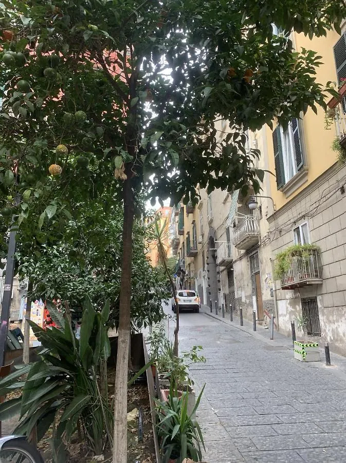 Gradoni 15 Casa Di Napoli Apartment 0*, Naples